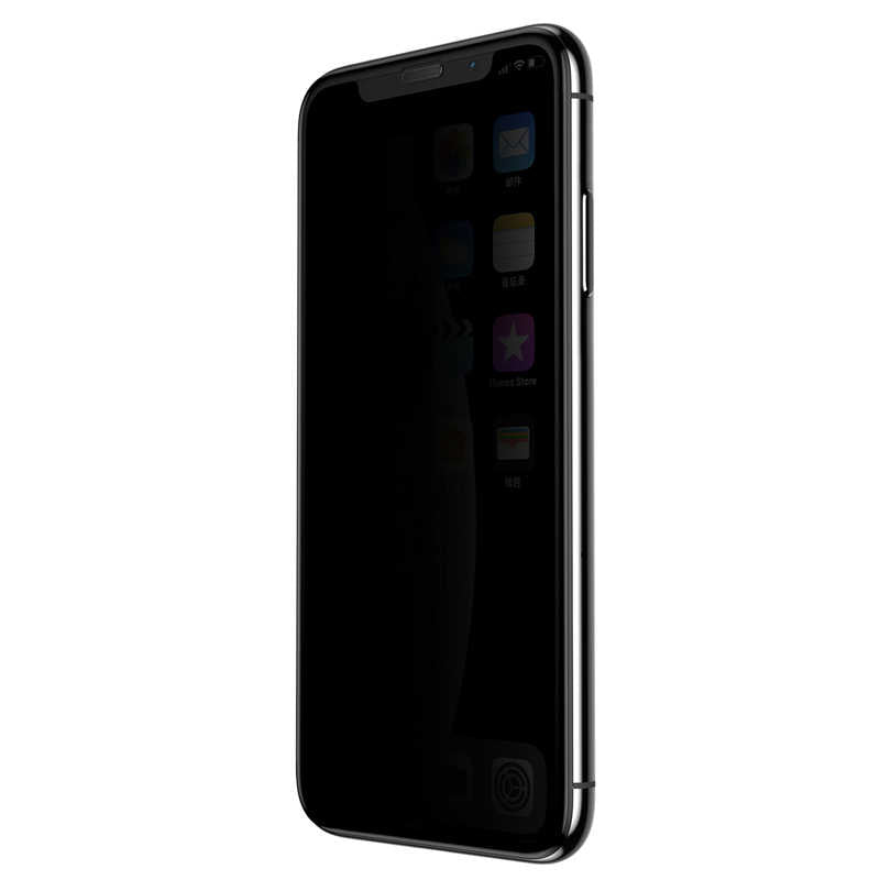 Apple iPhone XS Max 6.5 Zore Anti-Dust Privacy Temperli Ekran Koruyucu