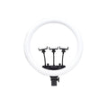 Zore MJ-56 Uzaktan Kumandalı 21 inç Işıklı Telefon Tutucu Ring Light